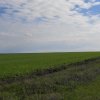 Русское поле
