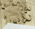 Костенки