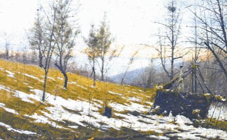 "Покинутые гнезда" (1891г) "Покинутые гнезда" (1891г)