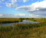 Река Токай
