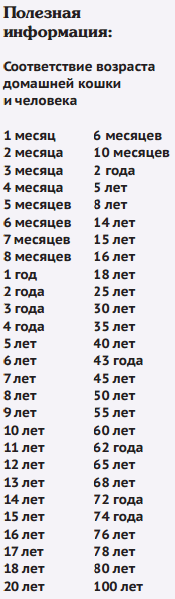 Полезная информация