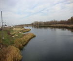 Река Богучарка