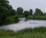 Река Хава