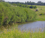 Река Осередь