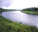 Река Верейка